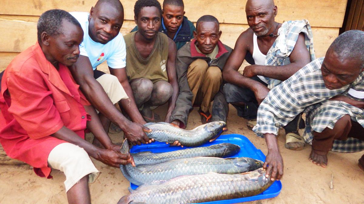 Tout le monde à l’élevage de poisson à Masi-Manimba! 