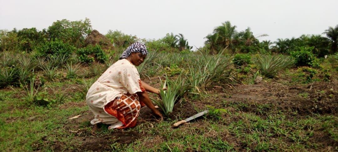 Les femmes de Lisala actives et investies dans l’entrepreneuriat agricole