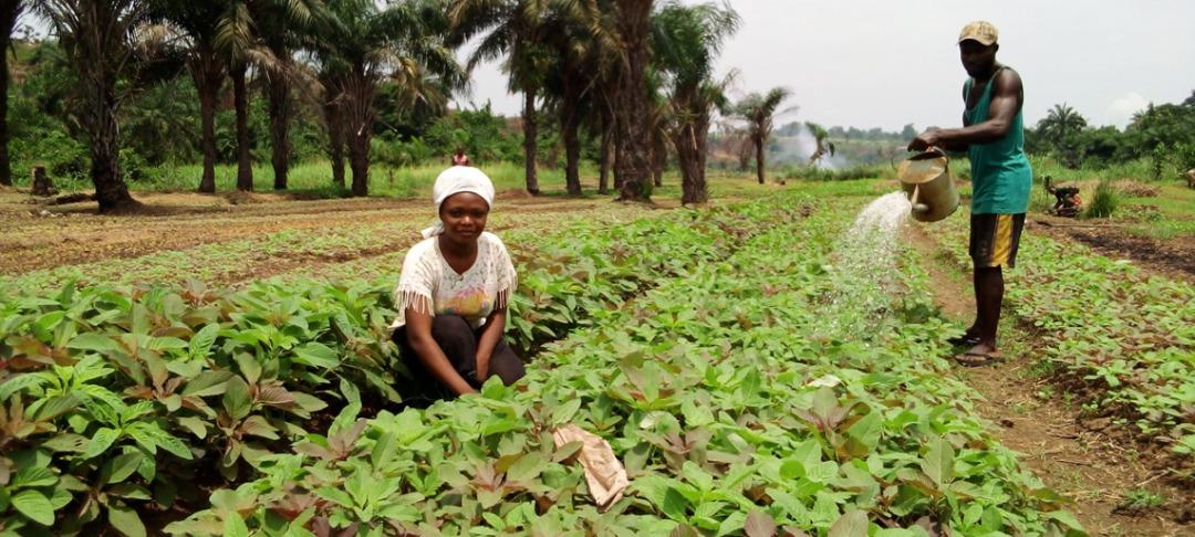 Des femmes paysannes montrent la voie vers l’autonomisation financière
