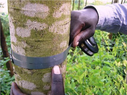 The Study and Expertise Fund finances the Rwanda National Forest Inventory 