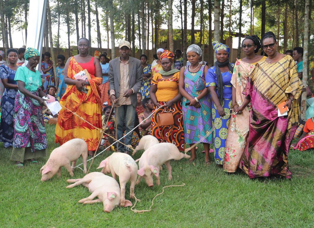 Ntarama Pigs Farm: The farming expedition of Peace Niyoyita 