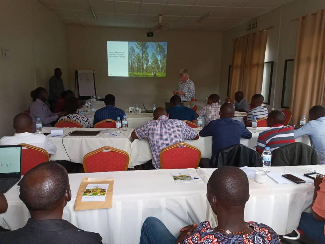 Rwanda – Thinning action for a sustainable forest management