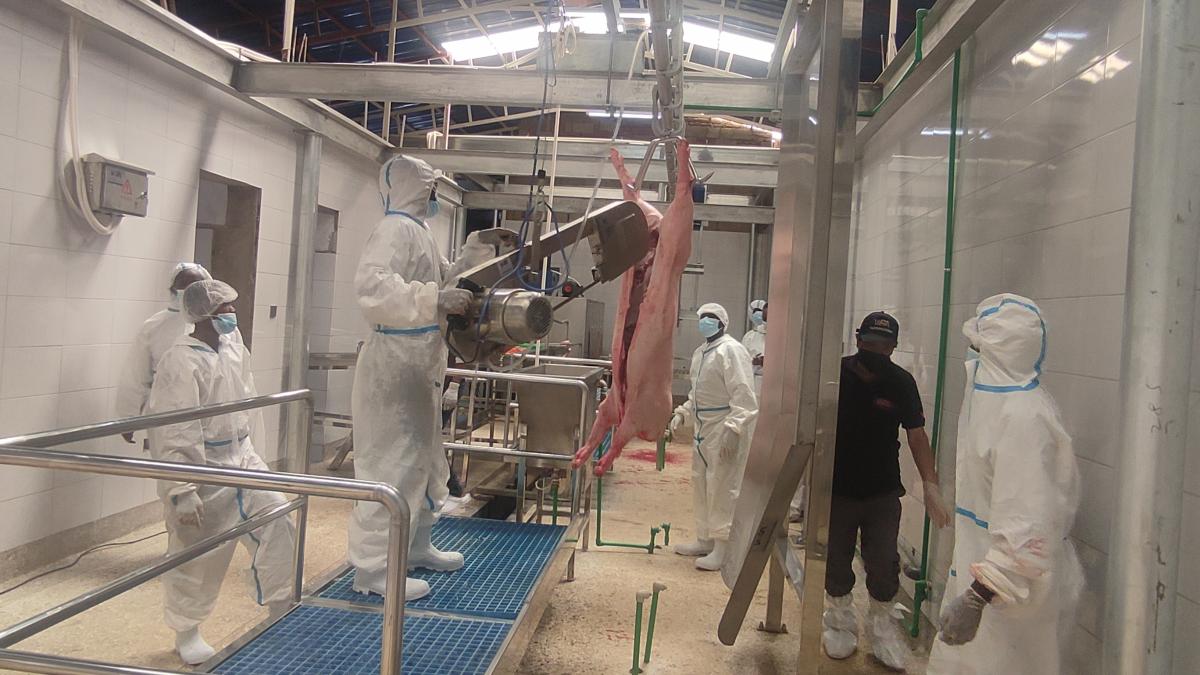 Ntarama Pigs Farm Ltd and KIME Ltd boost Rwanda’s pig farming industry with new slaughterhouses