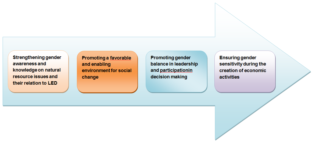 Gender Mainstreaming Strategy