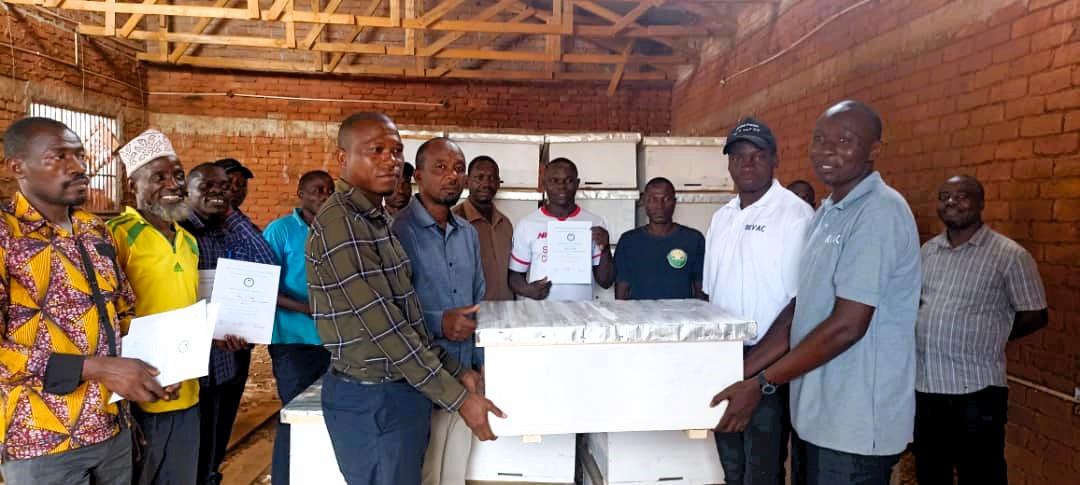 Access to affordable and improved bee hives to beekeepers in Katavi, Tanzania.
