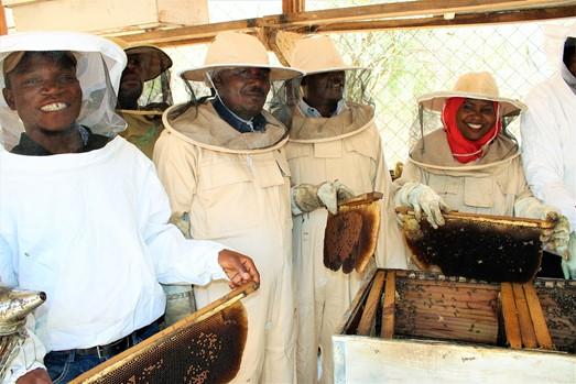 ENHANCING BEEKEEPING EXTENSION SERVICES