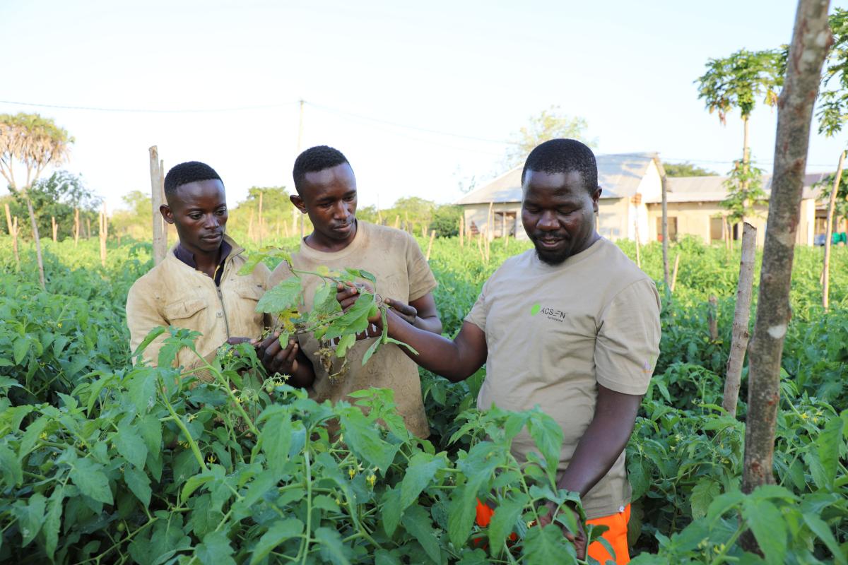 Through Enabel project a factory engineer supports creation of jobs in vegetable farming