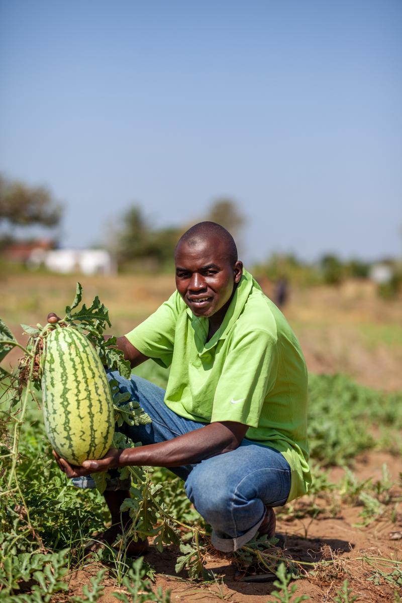 Fakhi’s Harvest: The Quiet Revolution in Tongoni