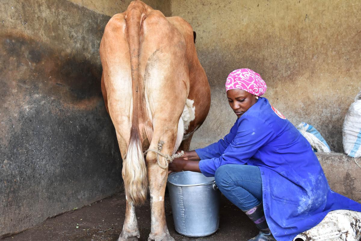 Bbiira smelt the sweet aroma of cows in Uganda when she joined the Work Readiness Program