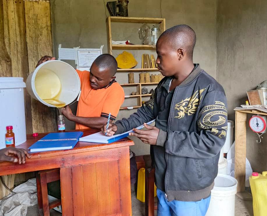 How beekeepers in Uganda are saving for health
