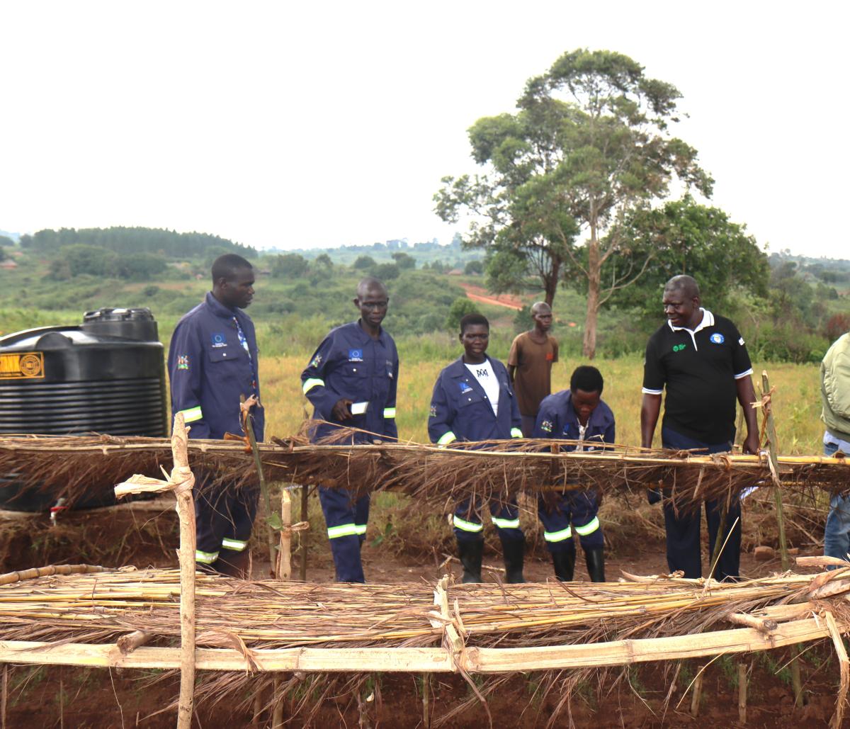 Farmer group set to earn millions of shillings selling vegetables in Uganda 