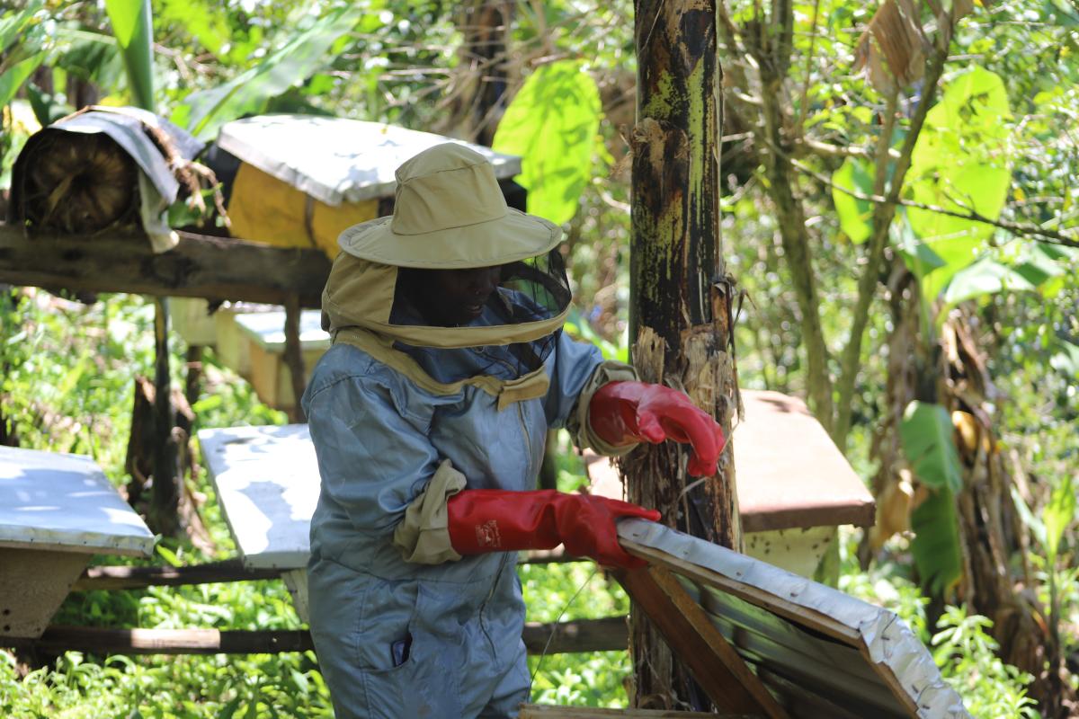 Eva turns struggles into success through beekeeping in Uganda
