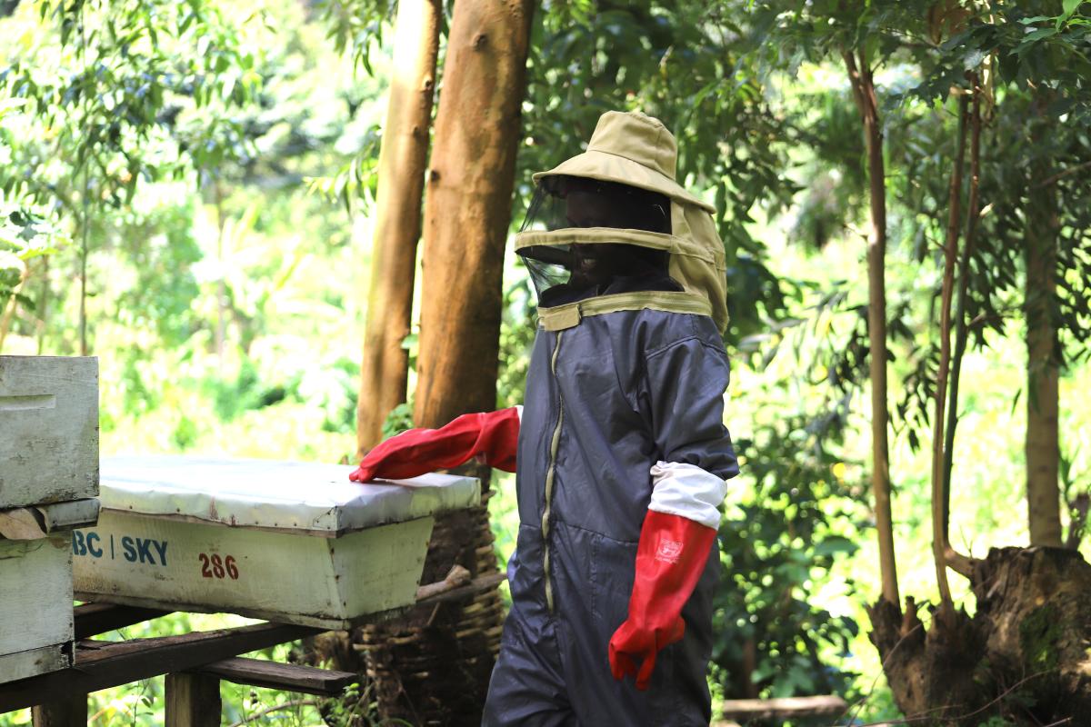 Janet’s apiary in Uganda grows from 5 bee hives to 57