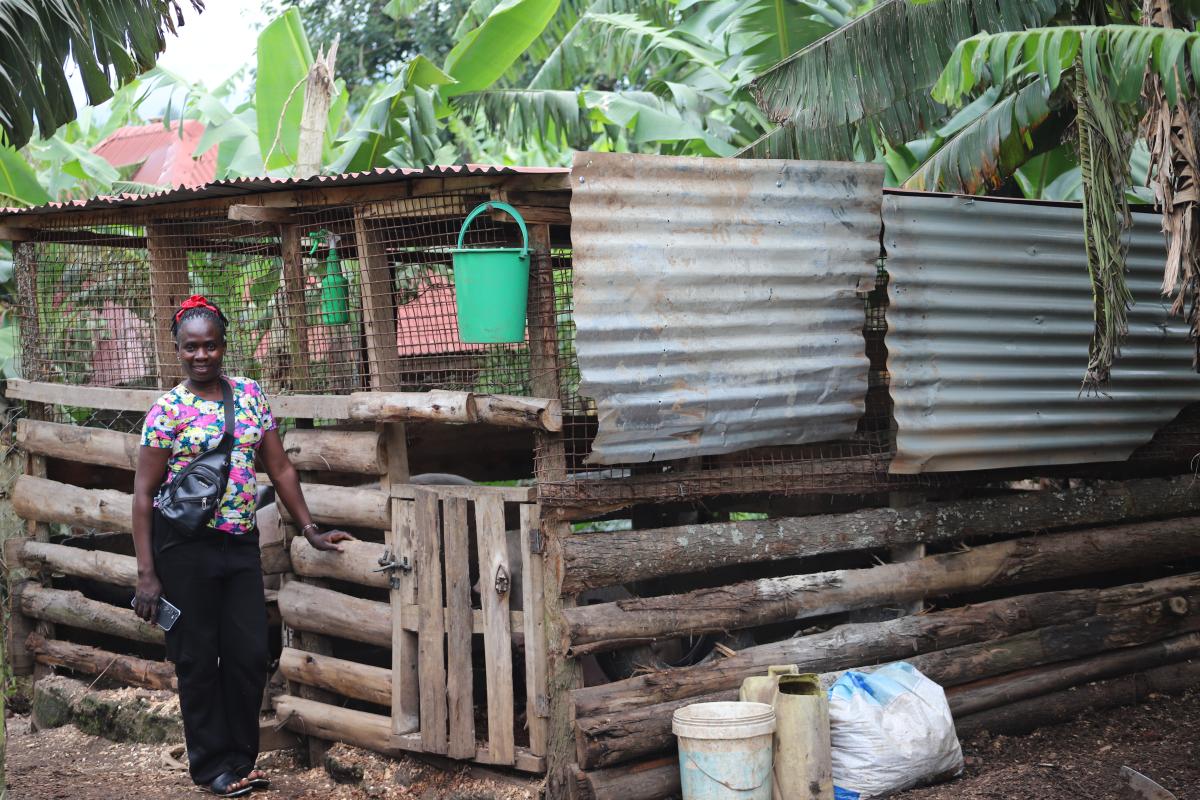 Turning UGX 100,000 into a growing poultry enterprise in Uganda