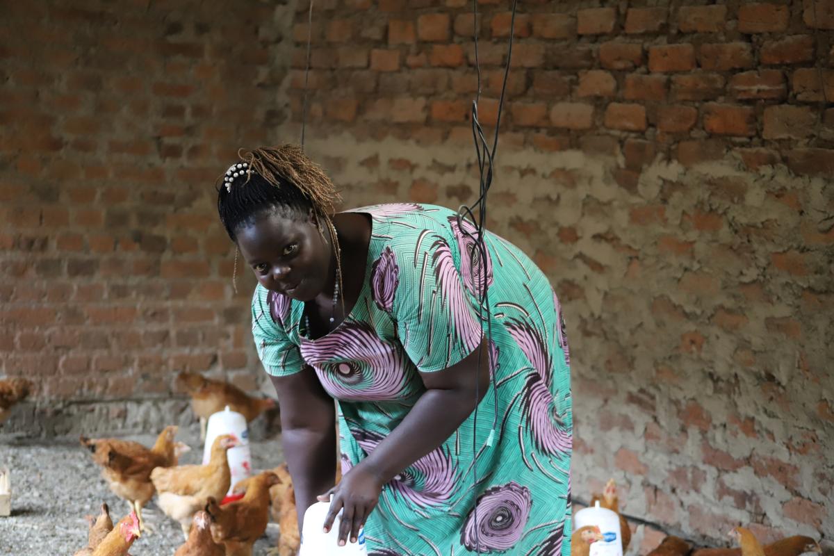Building a poultry farm one flock at a time in Uganda