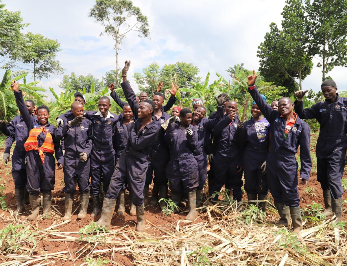 Kamukamu Group: Saving together and growing tomatoes for sale in Uganda