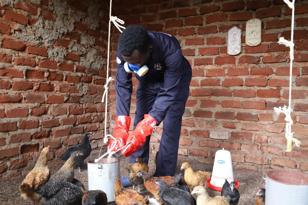 Bashir quit his job to concentrate on poultry farming in Uganda