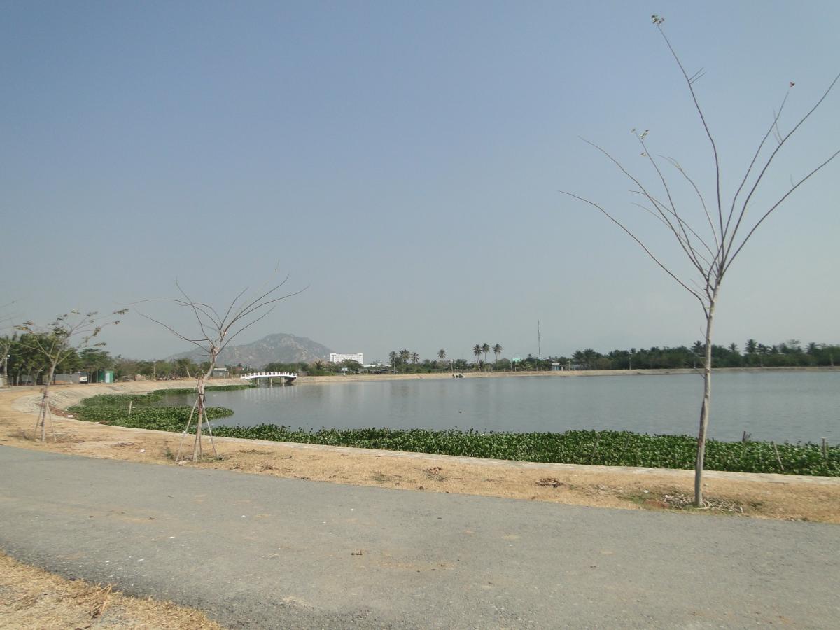 Developing drip irrigation for development of urban trees in Phan Rang - Thap Cham city, Ninh Thuan province